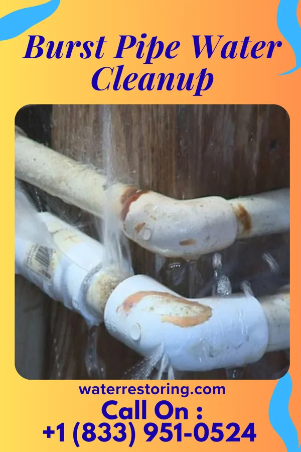 Burst Pipe Water Cleanup in Atlas, PA