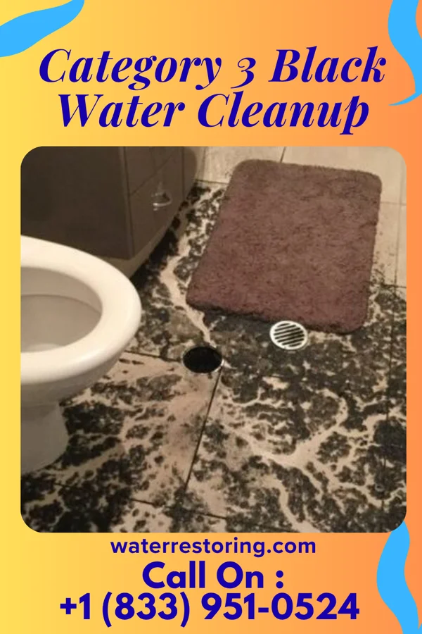 Category 3 Black Water Cleanup in Atlas, PA