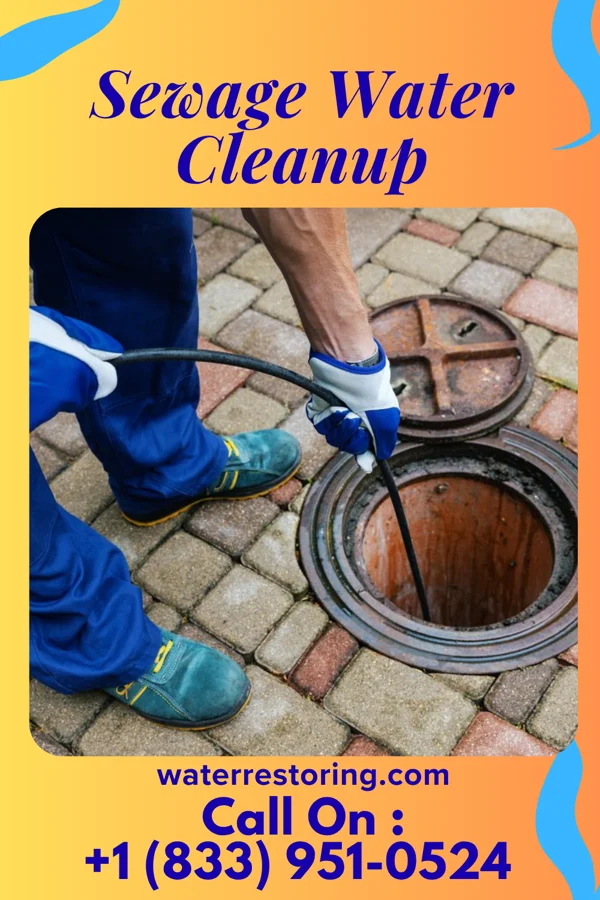 Sewage Water Cleanup in Atlas, PA